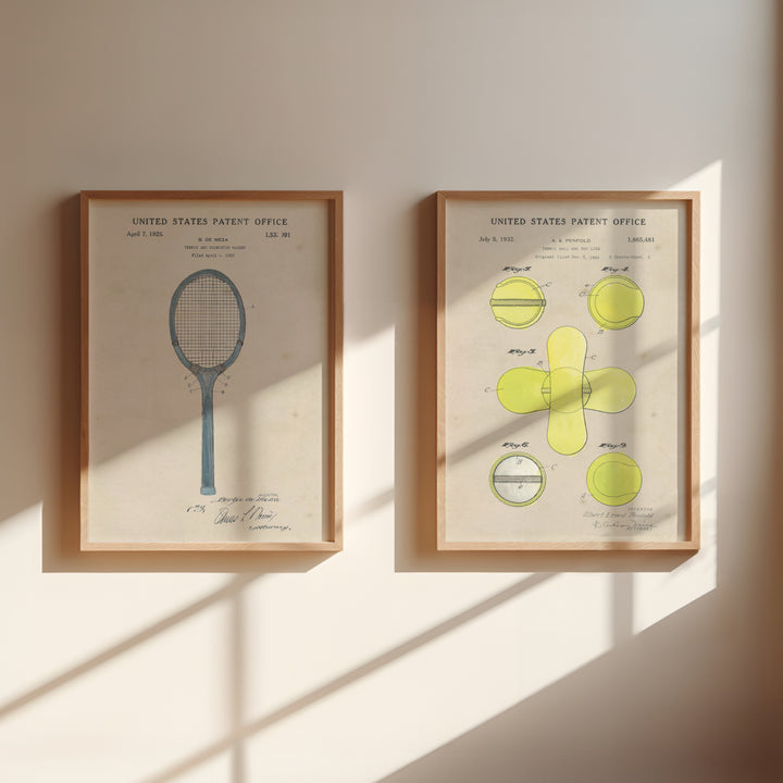 Tennis Racquet and Tennis Ball Set